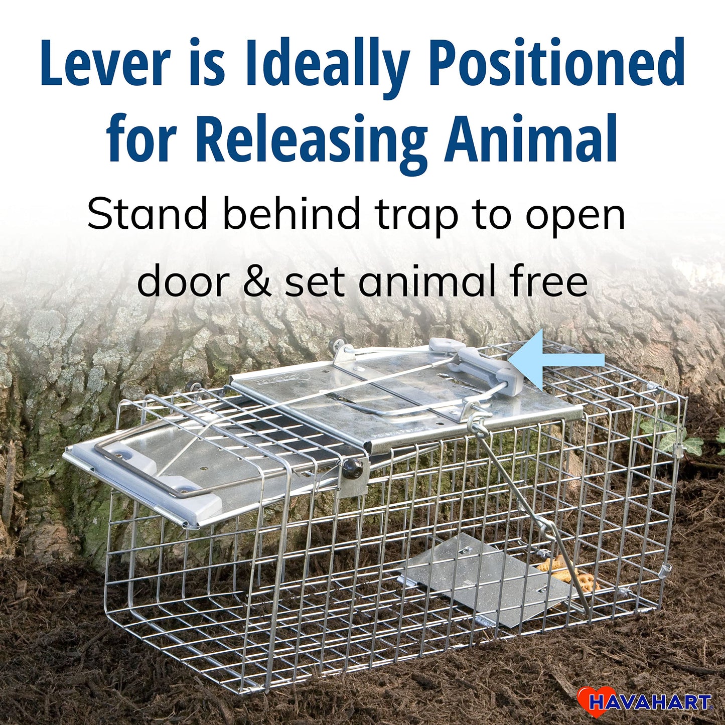 Havahart Easy-Set Catch and Release Small 1-Door Humane Live Animal Trap for Squirrels, Rabbits, Skunks, and Other Small Animals - 1083