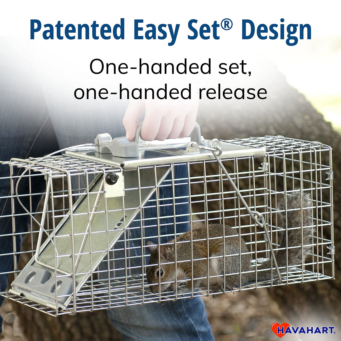 Havahart Easy-Set Catch and Release Small 1-Door Humane Live Animal Trap for Squirrels, Rabbits, Skunks, and Other Small Animals - 1083