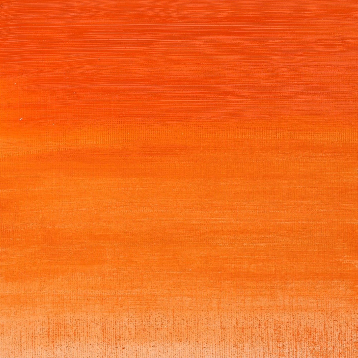 Winsor & Newton Artisan Water Mixable Oil Colour, 6.75-oz (200ml), Cadmium Orange Hue