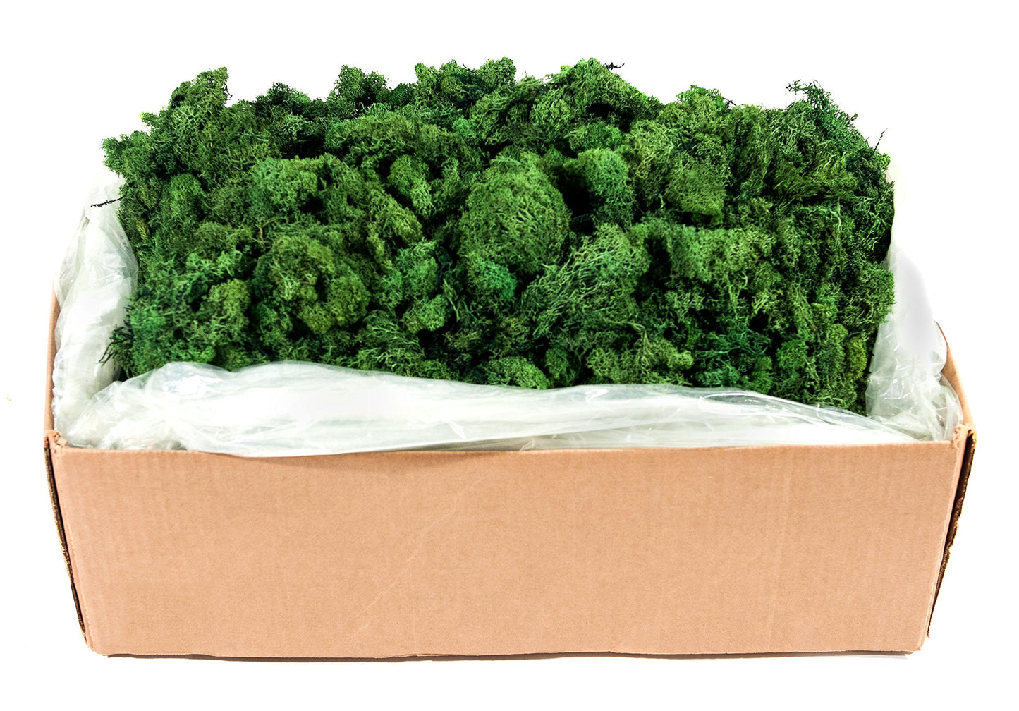 Super Moss (21499 Reindeer Moss Preserved, Forest Green, 10lbs