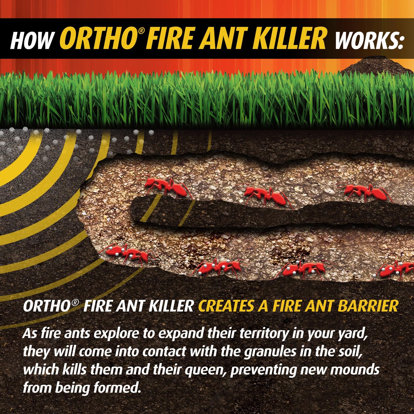 Ortho Fire Ant Killer Broadcast Granules - Fire Ant Granules for Outdoors, Kills Mounds in 15 Minutes, 6 Month Protection, Treats Up to 5,650 sq. ft., 13 lb.