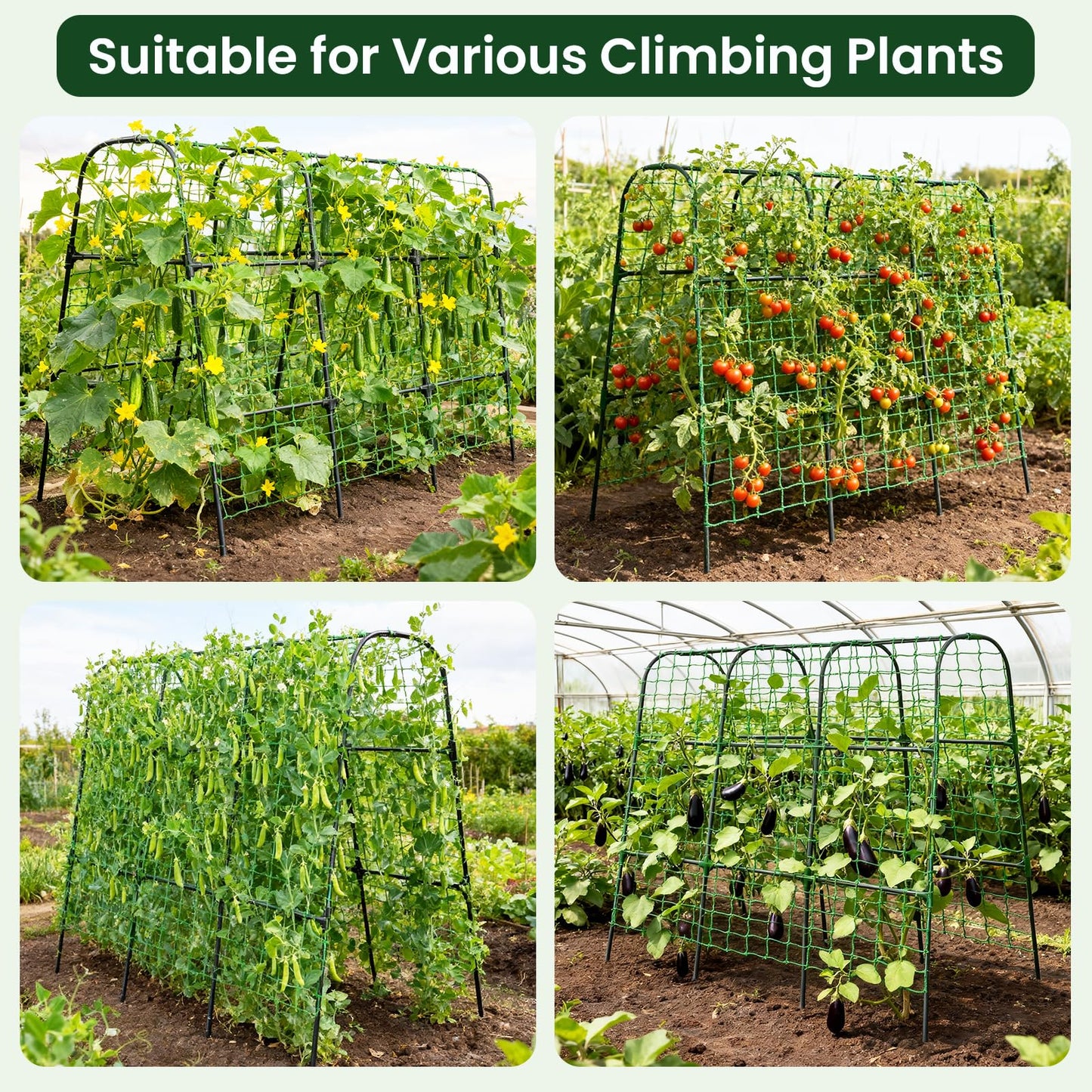 OTOSUNNY Garden Trellis for Climbing Plants Outdoor, Cucumber Trellis for Raised Bed Garden, Arch Trellis Support for Cucumbers Tomatoes Beans Peas, 50x48 inch, Metal Trellis with Netting, Black