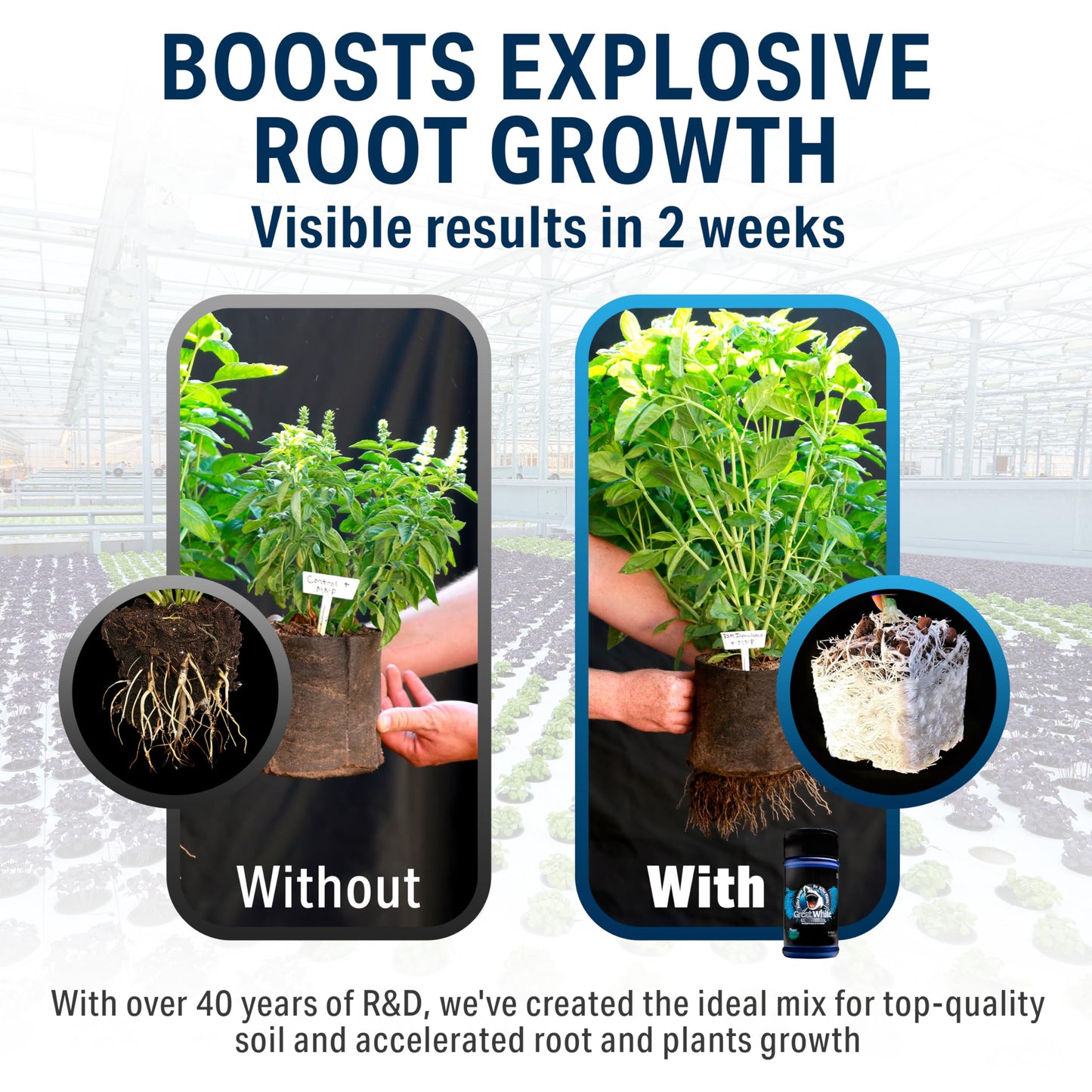 Great White Mycorrhizal Fungi, Beneficial Bacteria for Plant Growth, Root Stimulator, Concentrated 3-in-1 Formula by Plant Success (32 oz)
