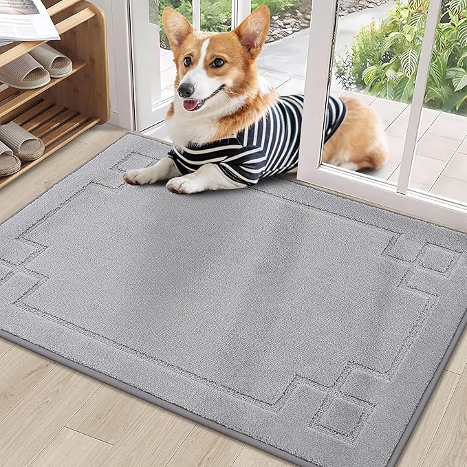 BEQHAUSE Door Mat 24" x 36", Non-Slip Door Mats Indoor Entryway Rugs Washable Low-Profile Absorbent and Stain Resist Floor Mats, Dog Door Mat for Front Back Door, Mud Wet Shoes & Paws, Light Grey