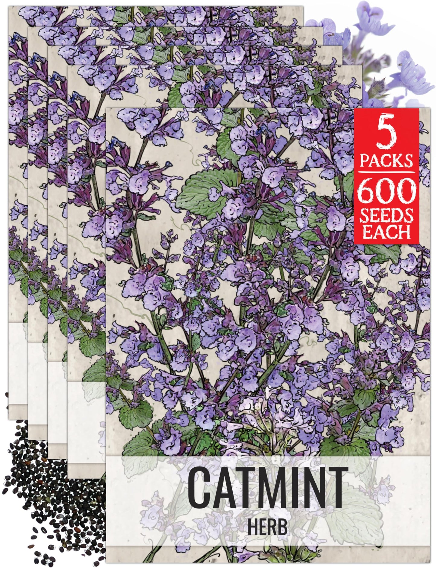Seed Needs Catmint Seeds for Planting an Indoor/Outdoor Herb Garden - Non-GMO Heirloom & Untreated Herbal Plants - Great for Cats Nepeta mussinii (5 Packs)