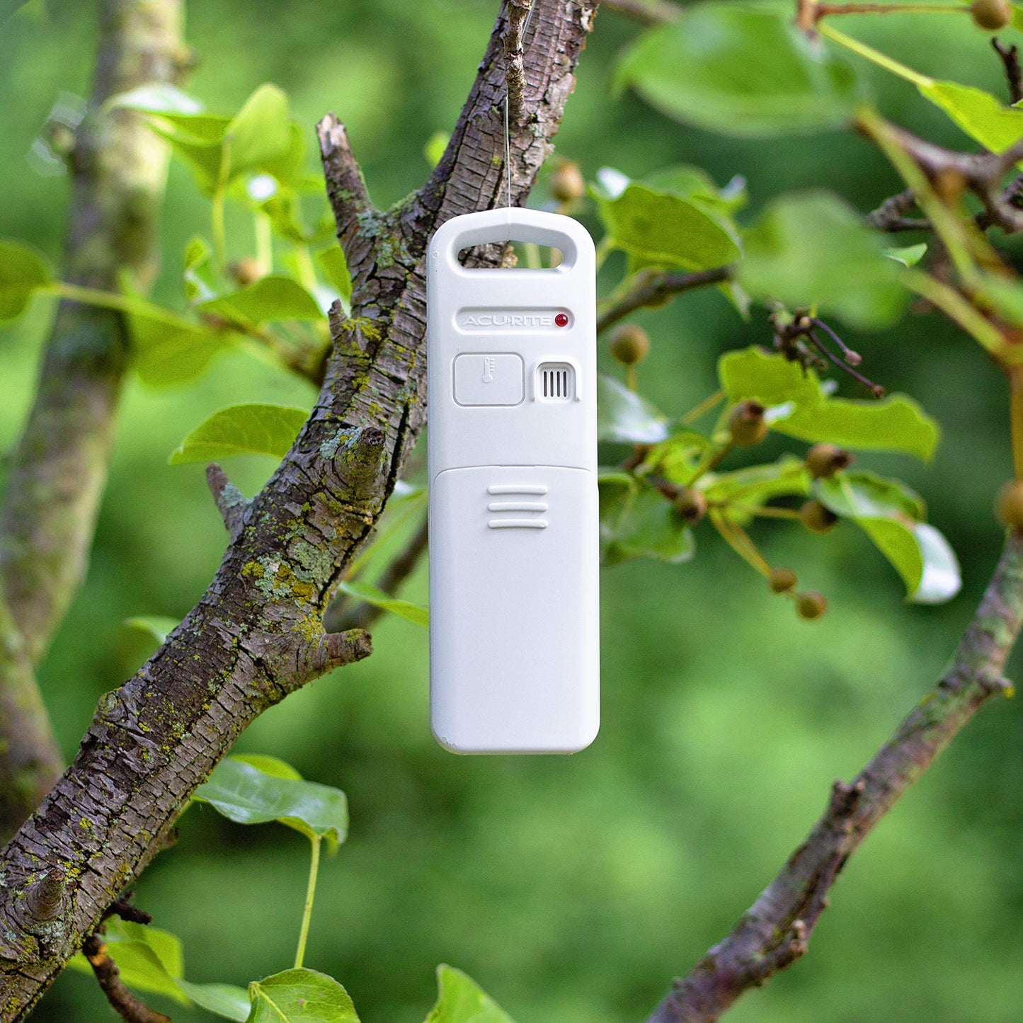 AcuRite Wireless Indoor Outdoor Temperature and Humidity Sensor with A-B-C Switch (06002M / 592TXR)