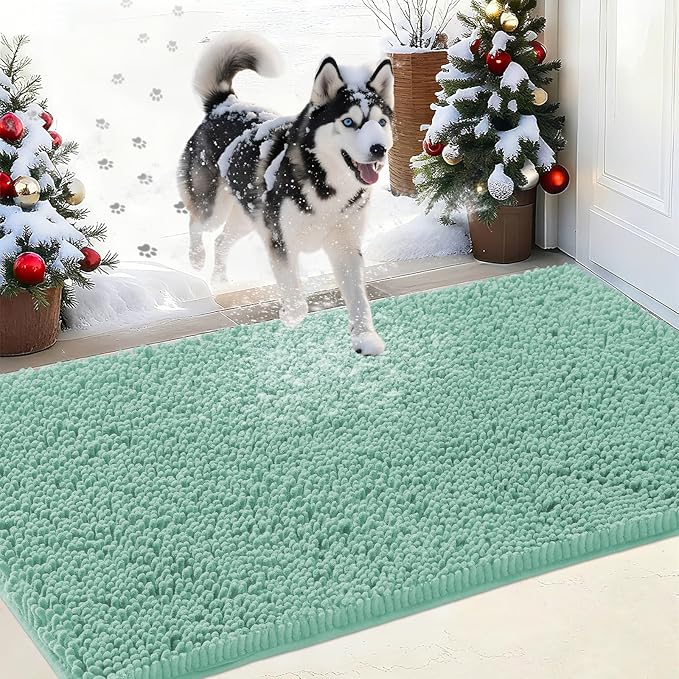 IM HOME Chenille Absorbent Outdoor Doormat 30" x 20", Washable Muddy Door Mats for Dog Non Slip Indoor Doormat Dog Mat for Muddy Paw Front Inside Doormats for Entryway Seafoam Green