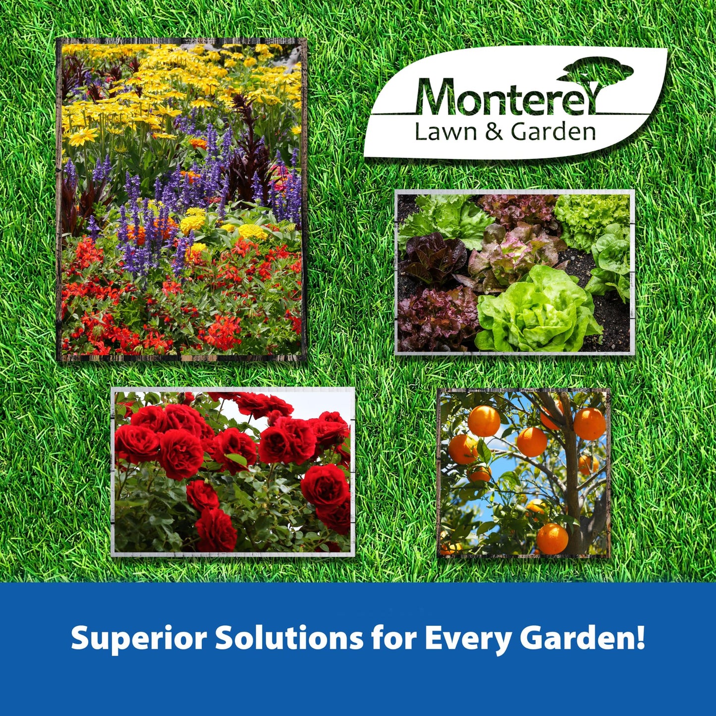 Monterey Thistledown Bundled with Measuring Spoon - Weed Killer Thistle and Clover Control Concentrate - 8 oz
