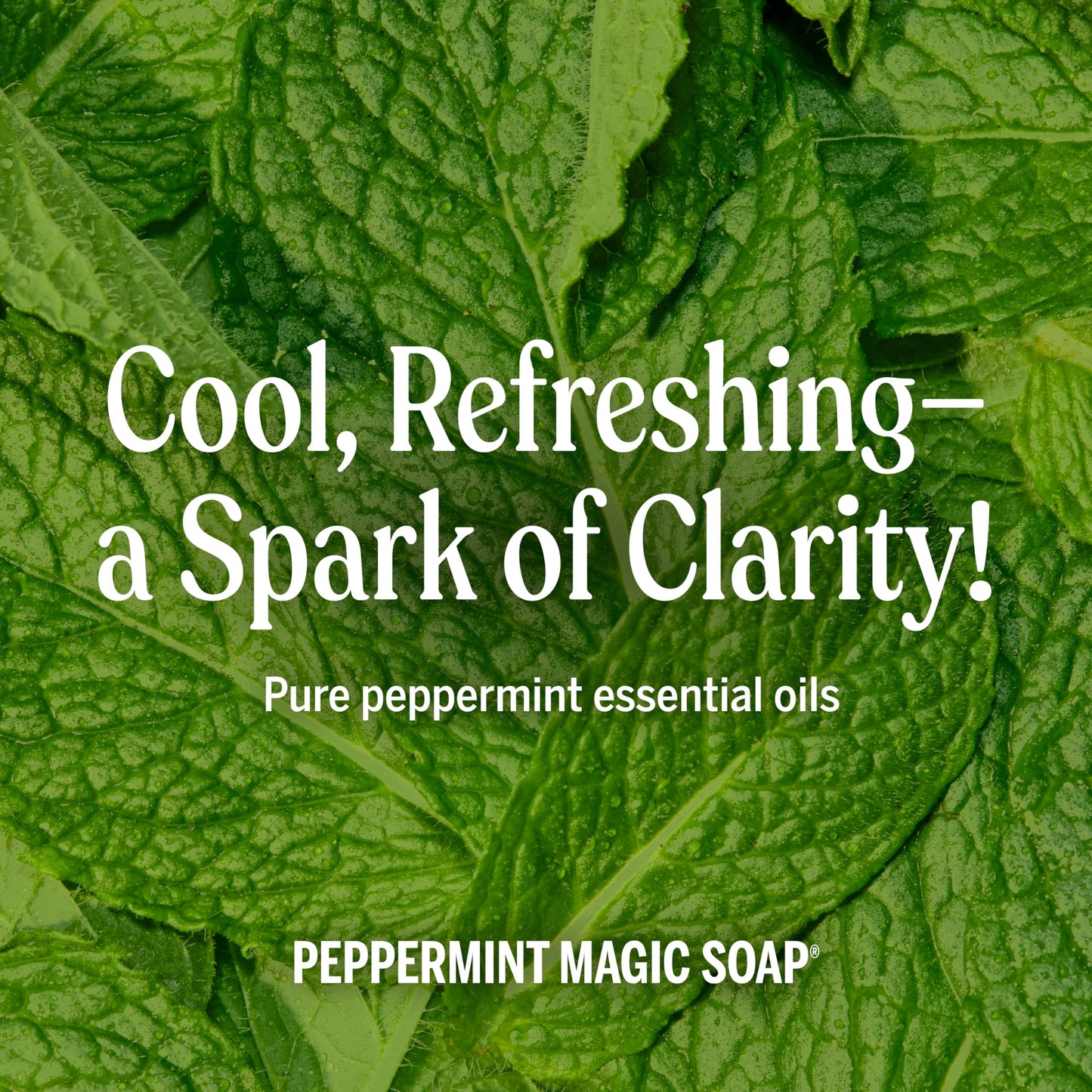 Dr. Bronner's Pure-Castile Liquid Magic Soap Refill - Made with Regenerative Organic Certified Oils, 86% Less Plastic - 18-in-1 Uses for Face, Body Wash, Hand Soap Refill & More - Peppermint, 32oz