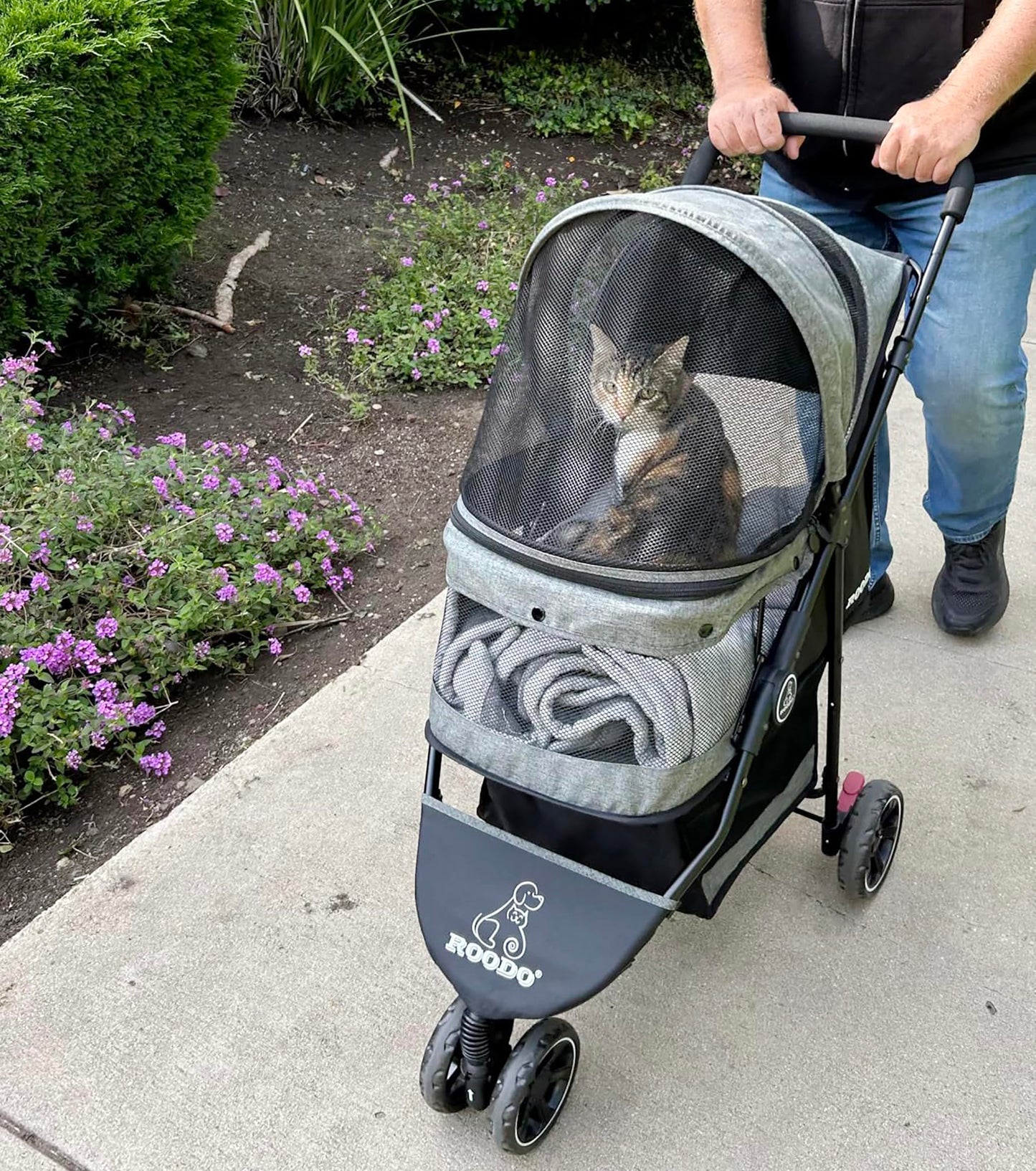 ROODO 3 Wheel Dog Pet Cat Stroller Best Lightweight Foldable Compact Portable Jogger All Terrain Travel Pet Gear Puppy Kitty Stroller for up to 30lbs Medium Small Dogs and Cats(Cationic ash)