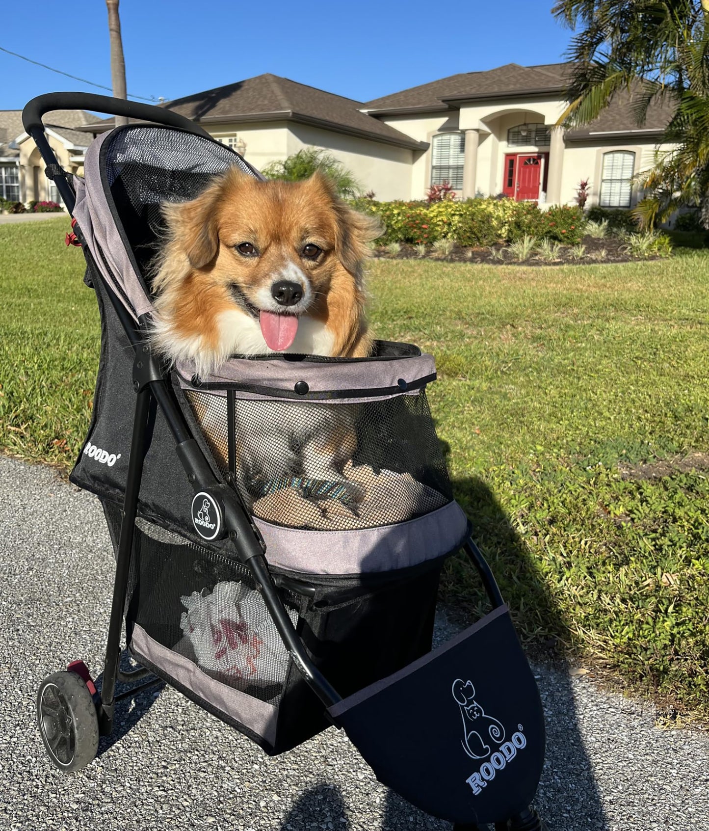 ROODO Escort 3 Wheel Dog Cat Pet Stroller for Small/Medium Dogs Cats Best Lightweight Foldable Portable Compact Jogger All Terrain Travel Pet Gear System Puppy Doggie Bunny Kitty Stroller(Grey)