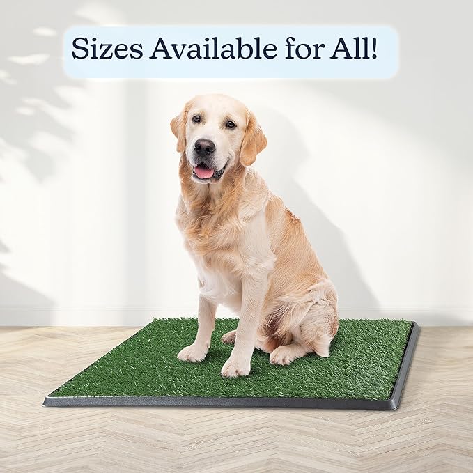 Artificial Grass Puppy Pee Pad for Dogs and Small Pets - 20x30 Inch, Reusable 4-Layer Turf Pads for Dogs with Tray - Indoor and Outdoor Fake Grass Potty Pet Supplies by PETMAKER