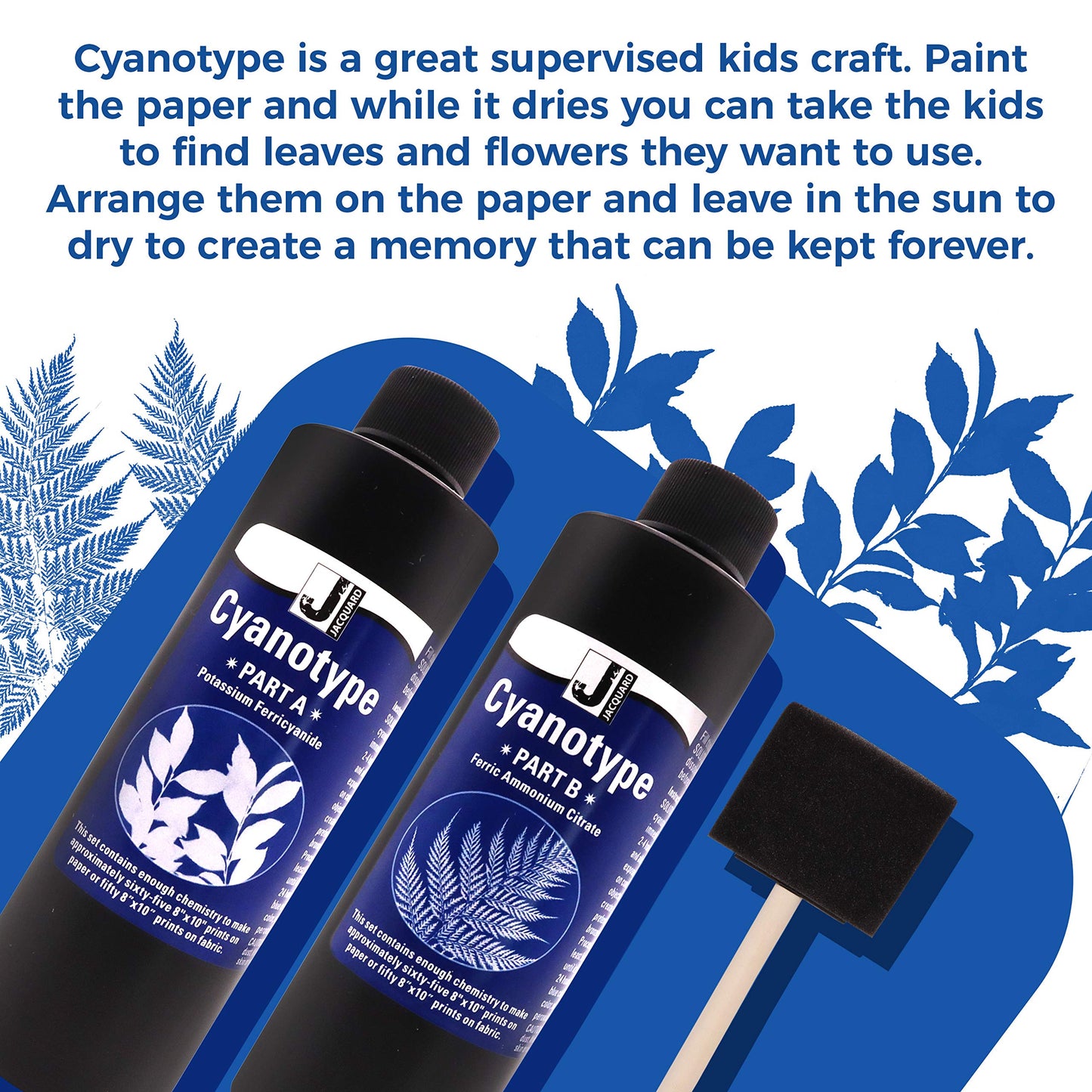 Jacquard Cyanotype Kit - Sun Printing Sensitizer Set for Paper & Fabric - Complete Blueprint Art Kit with Sponge Brush - Cyanotype Supplies for Photographers, Crafters & Kids