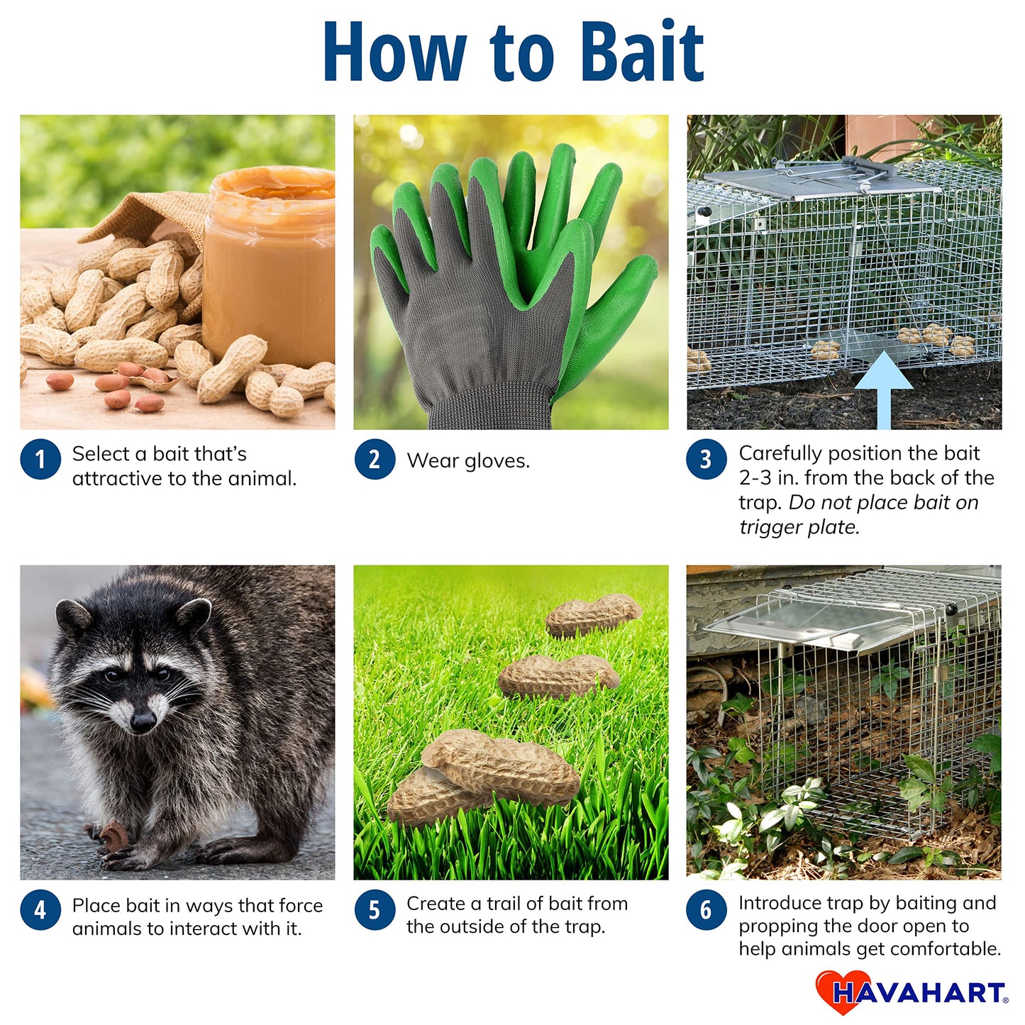 Havahart Easy-Set Catch and Release Small 1-Door Humane Live Animal Trap for Squirrels, Rabbits, Skunks, and Other Small Animals - 1083