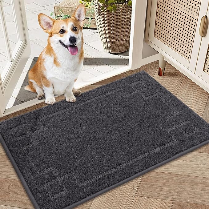 BEQHAUSE Door Mat 20" x 32", Non-Slip Door Mats Indoor Entryway Rugs Washable Low-Profile Absorbent and Stain Resist Floor Mats, Dog Door Mat for Front Back Door, Mud Wet Shoes & Paws, Dark Grey