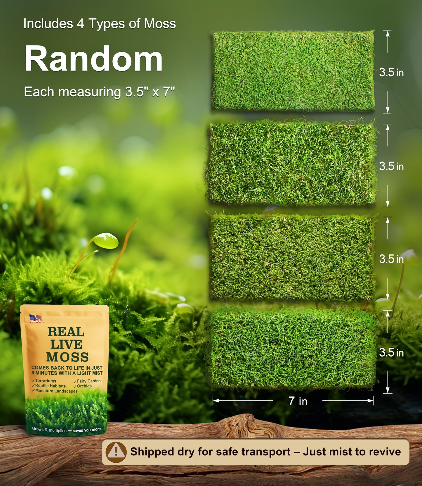 Live Moss 4-Pack (Each 3.5"x7") – Real Mixed Moss for Terrariums, Reptile Habitats, Fairy Gardens & Potted Plants – 4 Random Varieties, Easy to Revive, Natural Green Decor