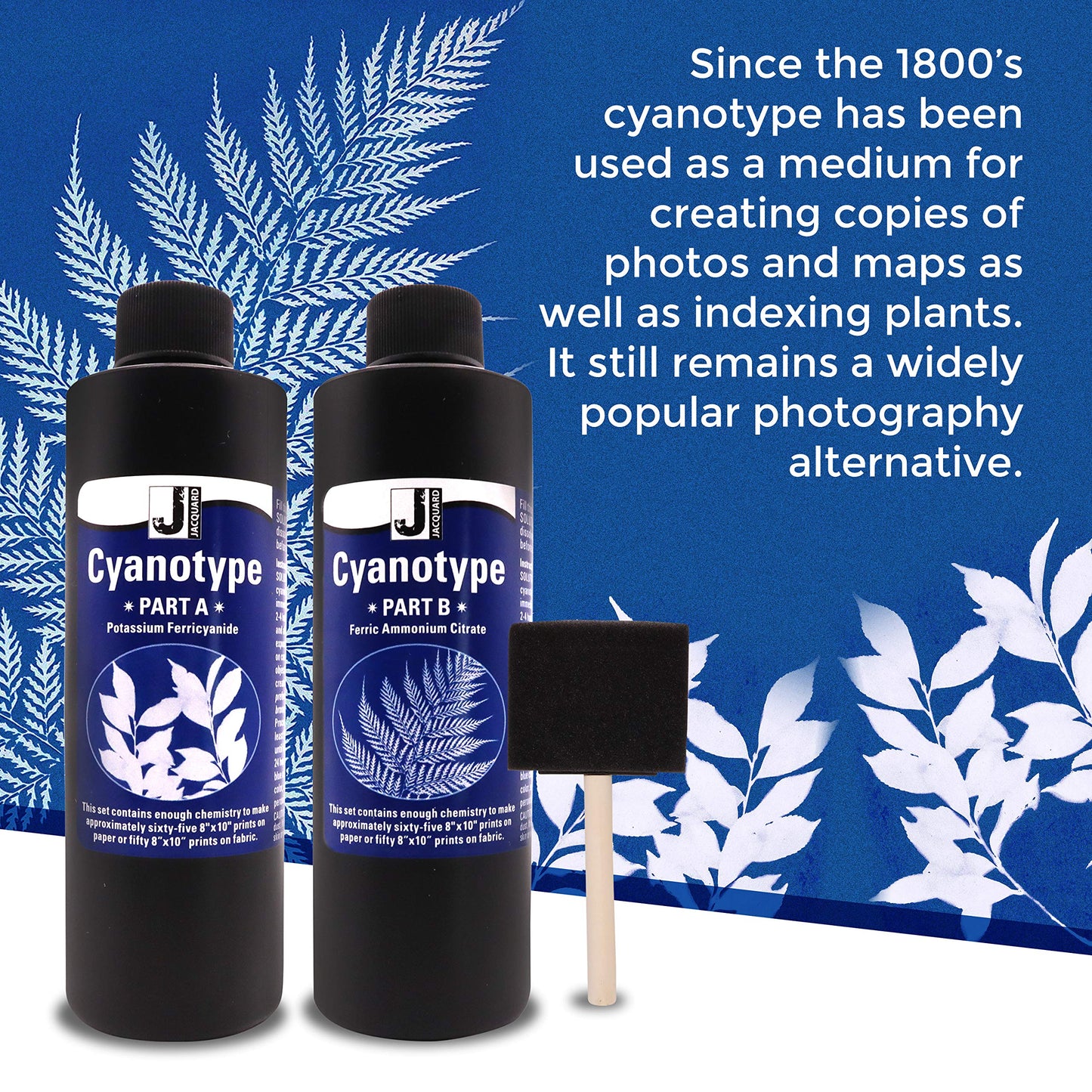 Jacquard Cyanotype Kit - Sun Printing Sensitizer Set for Paper & Fabric - Complete Blueprint Art Kit with Sponge Brush - Cyanotype Supplies for Photographers, Crafters & Kids